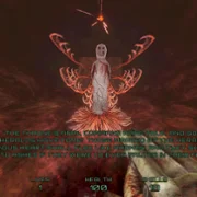 Incision - galeria zdjęć - filmweb