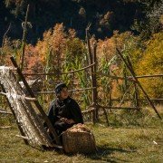 Sitiados - galeria zdjęć - filmweb