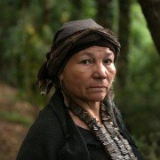 Sitiados - galeria zdjęć - filmweb