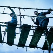 Carter - galeria zdjęć - filmweb
