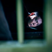Kateo - galeria zdjęć - filmweb