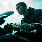 Kateo - galeria zdjęć - filmweb