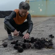 The Last of the Sea Women - galeria zdjęć - filmweb