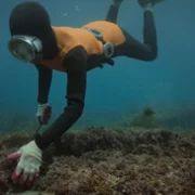 The Last of the Sea Women - galeria zdjęć - filmweb