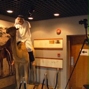 The Sheik and I - galeria zdjęć - filmweb