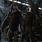 War for the Planet of the Apes - galeria zdjęć - filmweb