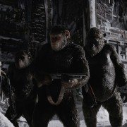 War for the Planet of the Apes - galeria zdjęć - filmweb