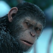 Andy Serkis w Wojna o planetę małp