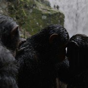 War for the Planet of the Apes - galeria zdjęć - filmweb