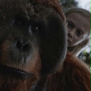 War for the Planet of the Apes - galeria zdjęć - filmweb