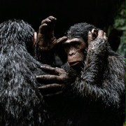 Wojna o planetę małp - galeria zdjęć - filmweb