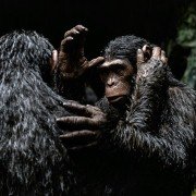 War for the Planet of the Apes - galeria zdjęć - filmweb