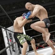 UFC Undisputed 3 - galeria zdjęć - filmweb