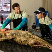 Harrow - galeria zdjęć - filmweb