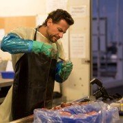 Harrow - galeria zdjęć - filmweb