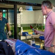 Harrow - galeria zdjęć - filmweb