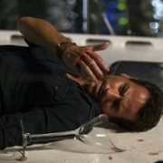 Patolog - galeria zdjęć - filmweb