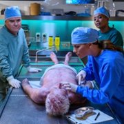 Harrow - galeria zdjęć - filmweb