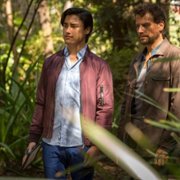 Patolog - galeria zdjęć - filmweb