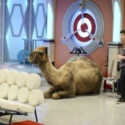 Mighty Med - galeria zdjęć - filmweb