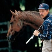 The Horse Whisperer - galeria zdjęć - filmweb