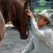The Horse Whisperer - galeria zdjęć - filmweb