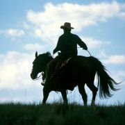 The Horse Whisperer - galeria zdjęć - filmweb