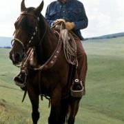 The Horse Whisperer - galeria zdjęć - filmweb