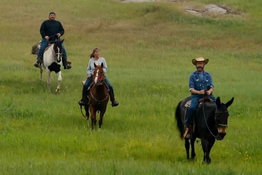 Tom Green Country - galeria zdjęć - filmweb