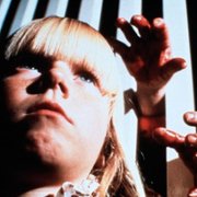 The Brood - galeria zdjęć - filmweb