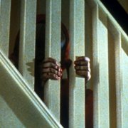 The Brood - galeria zdjęć - filmweb