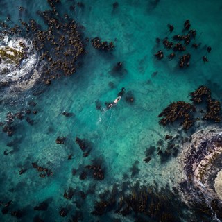Gospodarz i założyciel Sea Change Project