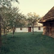 Ulmowie. Błogosławiona rodzina - galeria zdjęć - filmweb