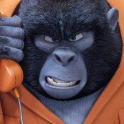 Sing - galeria zdjęć - filmweb