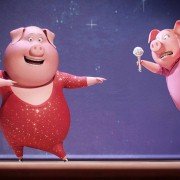 Sing - galeria zdjęć - filmweb