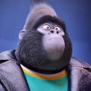 Sing - galeria zdjęć - filmweb
