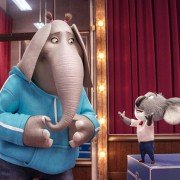 Sing - galeria zdjęć - filmweb
