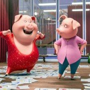 Sing - galeria zdjęć - filmweb