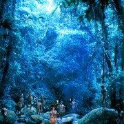 The Emerald Forest - galeria zdjęć - filmweb