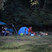 Wer - galeria zdjęć - filmweb