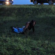 Zwierz - galeria zdjęć - filmweb