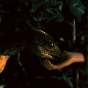 The Dinosaur Project - galeria zdjęć - filmweb