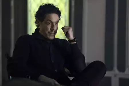 Pingwin - galeria zdjęć - filmweb