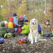 Alphabet - galeria zdjęć - filmweb