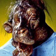 The Return of Swamp Thing - galeria zdjęć - filmweb