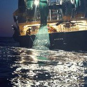 Seaspiracy - galeria zdjęć - filmweb