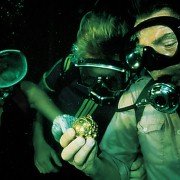 Głębia - galeria zdjęć - filmweb