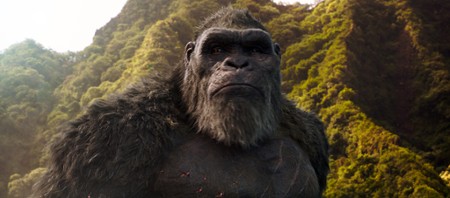 Godzilla vs. Kong - galeria zdjęć - filmweb