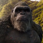 Godzilla vs. Kong - galeria zdjęć - filmweb