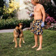 Dickie Roberts: Former Child Star - galeria zdjęć - filmweb